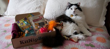 KitNipBox  Subscription Box Review and Information