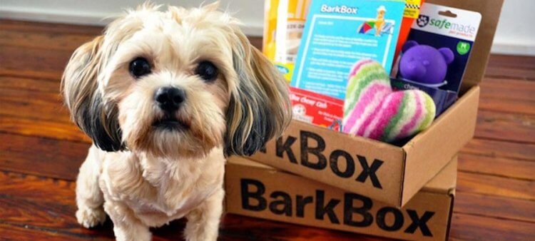 barkbox-header